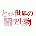 とある世界の奇怪生物（ユーマ）