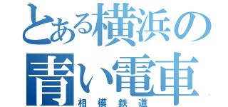 とある横浜の青い電車（相模鉄道）