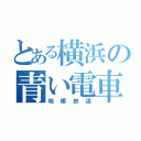 とある横浜の青い電車（相模鉄道）