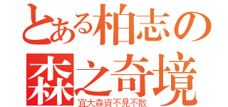 とある柏志の森之奇境（宜大森資不見不散）