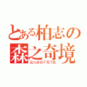 とある柏志の森之奇境（宜大森資不見不散）