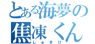 とある海夢の焦凍くん（しゅきぴ）