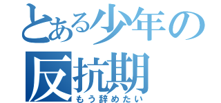 とある少年の反抗期（もう辞めたい）