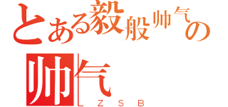 とある毅般帅气の帅气（ＬＺＳＢ）