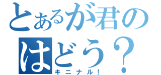 とあるが君のはどう？（キニナル！）