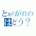 とあるが君のはどう？（キニナル！）