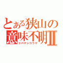 とある狭山の意味不明Ⅱ（コバヤシコウヤ）