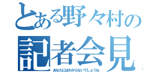 とある野々村の記者会見（あなたにはわからないでしょうね）