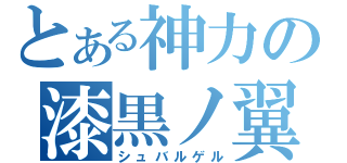 とある神力の漆黒ノ翼（シュバルゲル）