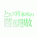 とある宮永咲の嶺花開放（清澄高校 麻雀部）