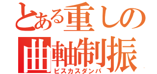 とある重しの曲軸制振（ビスカスダンパ）