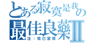 とある寂寞是我の最佳良藥Ⅱ（注：我已習慣）