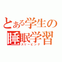 とある学生の睡眠学習（スリーピング）