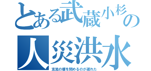 とある武蔵小杉の人災洪水（支流の堰を閉めるのが遅れた）