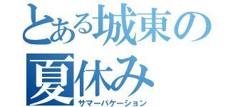 とある城東の夏休み（サマーバケーション）