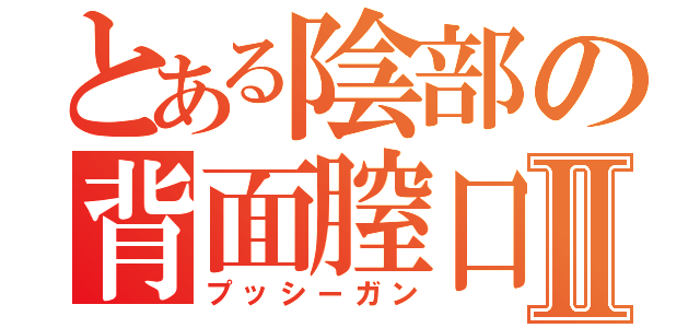 とある陰部の背面膣口Ⅱ（プッシーガン）