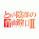 とある陰部の背面膣口Ⅱ（プッシーガン）