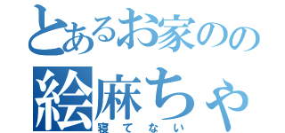 とあるお家のの絵麻ちゃん（寝てない）