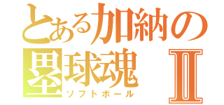 とある加納の塁球魂Ⅱ（ソフトボール）