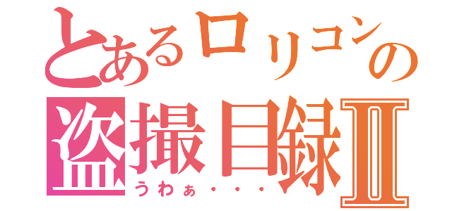 とあるロリコンの盗撮目録Ⅱ（うわぁ・・・）