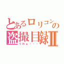 とあるロリコンの盗撮目録Ⅱ（うわぁ・・・）