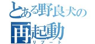 とある野良犬の再起動（リブート）