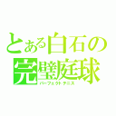 とある白石の完璧庭球（パーフェクトテニス）