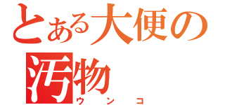 とある大便の汚物（ウンコ）