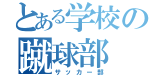 とある学校の蹴球部（サッカー部）