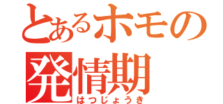 とあるホモの発情期（はつじょうき）