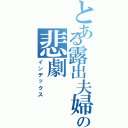 とある露出夫婦の悲劇（インデックス）