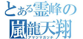 とある霊峰の嵐龍天翔（アマツマガツチ）