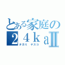 とある家庭の２４ｋａｒａｔｓⅡ（タガミ ヤスコ）