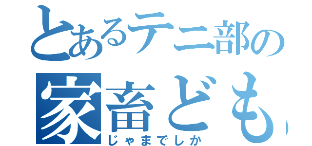 とあるテニ部の家畜ども（じゃまでしか）