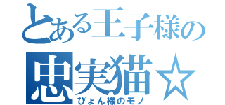 とある王子様の忠実猫☆（ぴょん様のモノ）