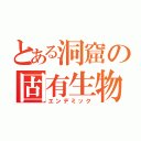 とある洞窟の固有生物（エンデミック）