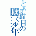 とある猫目の欺く少年（鹿野修哉）