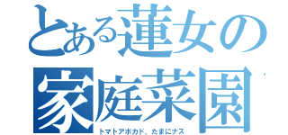 とある蓮女の家庭菜園（トマトアボカド、たまにナス）