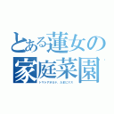 とある蓮女の家庭菜園（トマトアボカド、たまにナス）