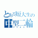 とある短大生の中型二輪（バリオス）