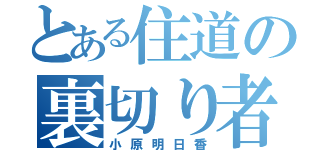 とある住道の裏切り者（小原明日香）