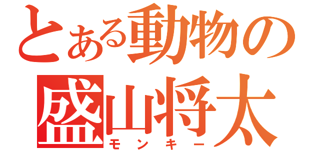 とある動物の盛山将太（モンキー）