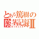 とある篤樹の陰茎記録Ⅱ（あつきんたま）