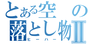 とある空の落とし物Ⅱ（ヒーハー）