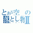 とある空の落とし物Ⅱ（ヒーハー）