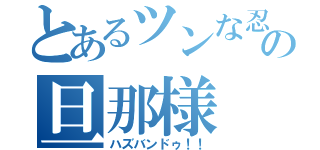 とあるツンな忍の旦那様（ハズバンドゥ！！）