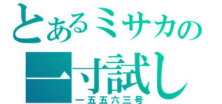 とあるミサカの一寸試し（一五五六三号）