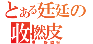 とある廷廷の收撚皮（嘩 好勁呀）