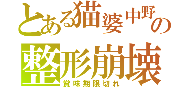 とある猫婆中野の整形崩壊（賞味期限切れ）