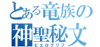 とある竜族の神聖秘文（ヒエログリフ）